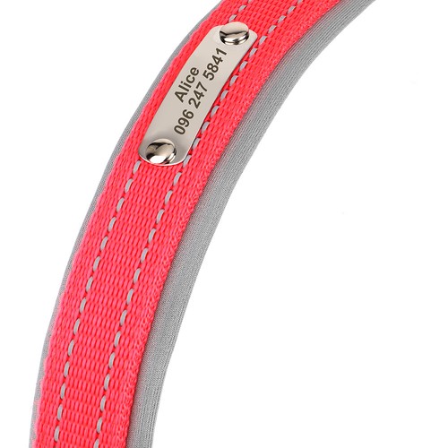 Personalized Nylon Dog Collar Reflective Engraved for Small/Large Dogs Soft Padd - Picture 26 of 26