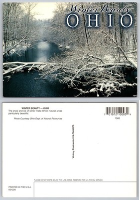 Continental Winter Beauty Ohio Postcard