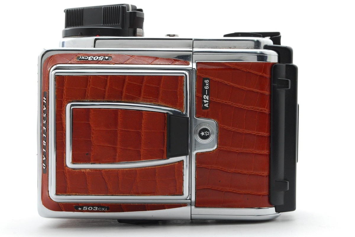 Hasselblad 503CXi ＋80mm＋A12 III N.MINT】 Hasselblad 503CXi + CF 80mm w/Hood,Strap, Acute