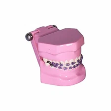 Redland B3-01 Dental Demonstration Teeth Educational Model orthodontist 