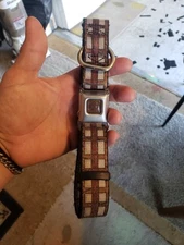 Buckle-Down Brand Dog Collar Seatbelt Buckle Star Wars Licensed Chewbacca 