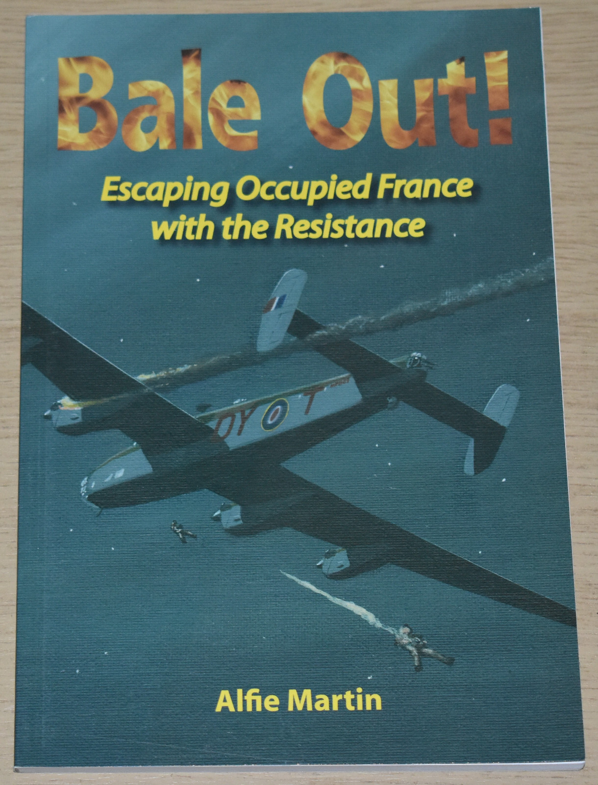 RAF CREW WW2 HISTORY 102 Squadron Halifax Bomber NEW Shot Down Occupied Europe