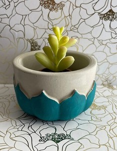 Cement Pot