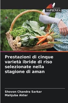 Prestazioni di cinque variet ibride di riso selezionate nella stagione di aman b
