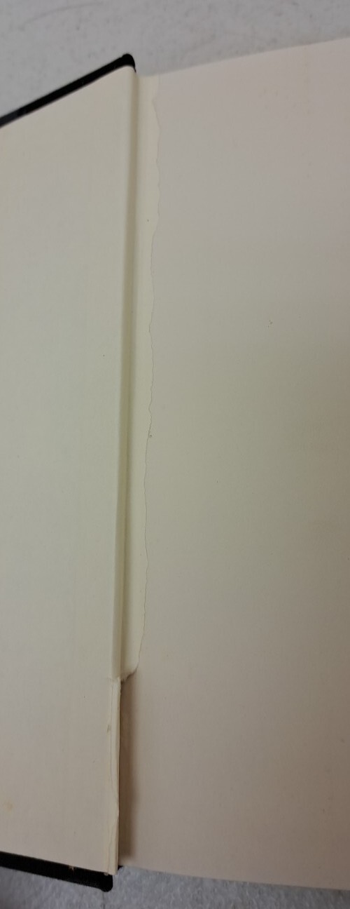 Picture 5 of 12