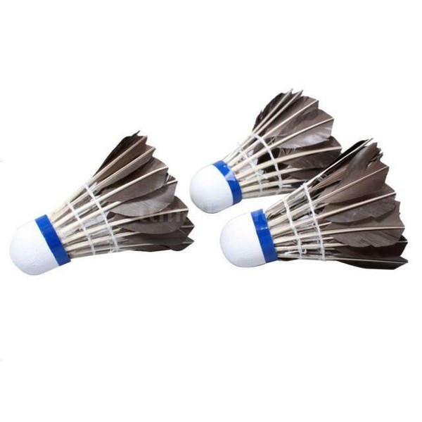 12x Training White Goose Feather Shuttlecocks Birdies Badminton Ball