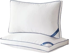 Goose Down Pillows Twin Size Set of 2,Hotel Feather Pillows with Organic Cott...