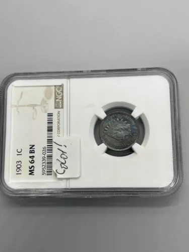 1903 NGC Ms 64 BN Indian Cent Great Color Check My Listings👊👀😎