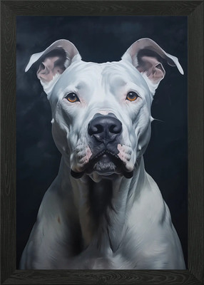White Dogo Argentino Portrait Framed Wall Art Poster Canvas Print Picture