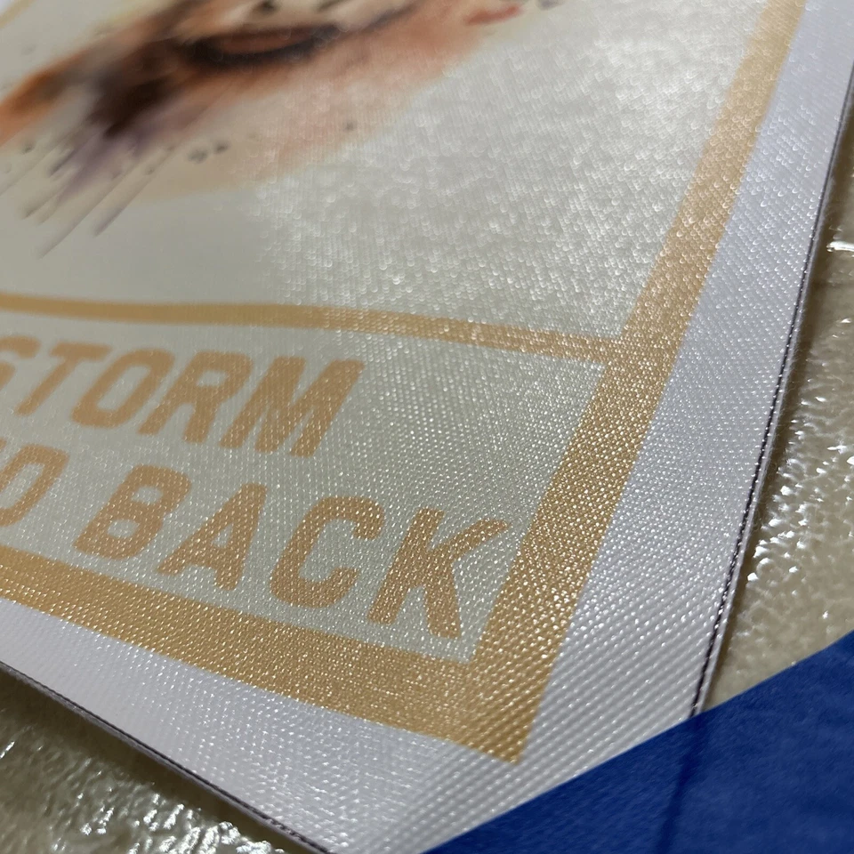 Cow - I Am The Storm Quote ✅Positive Inspirational Poster Canvas Wall Art 12x18” - Image 2 of 4