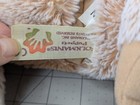 Bild 10 von 12