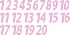 1-20 Numbers Pink Sticker Vinyl Decals CHOOSE  1" - 8"  (V591)