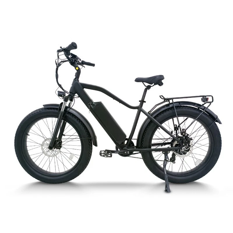 Bicicleta eléctrica de ciudad ligera 1000W 48V 25 mph 33 kg carga 120 kg bicicleta eléctrica para adultos Foto 4 de 4