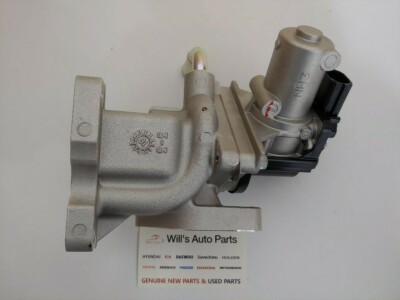 Ssangyong egr remover