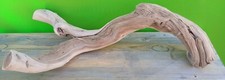 Y Shaped Chunky Colorful Manzanita Driftwood
