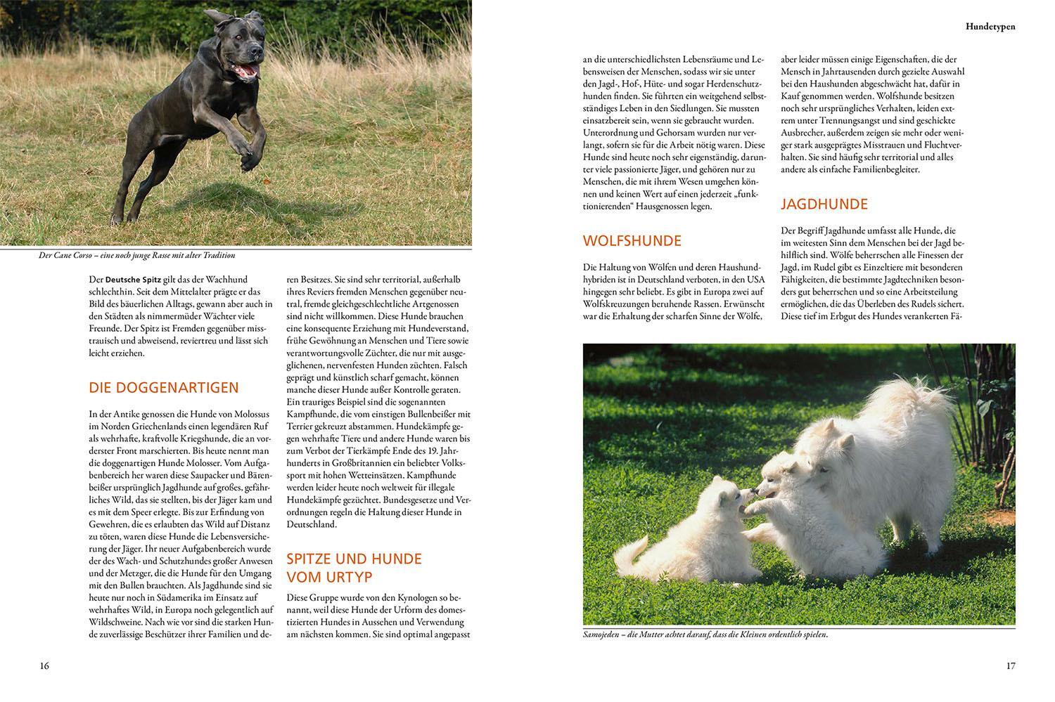 Thumbnail - Der Kosmos-hundeführer Eva-maria Krämer