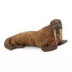 CollectA Realistic Animal Replica Walrus Figure Large for Ages 3 Years and Up