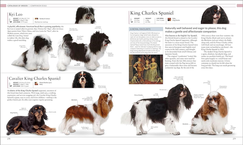 The Dog Encyclopedia: the Definitive Visual Guide - Picture 10 of 12