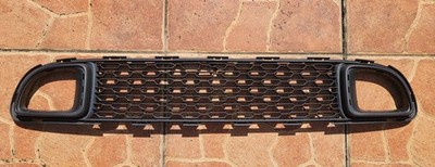 BMW Mini R55/R56/R57 2010-2013 LCi Cooper SD Front Bumper Lower Grille Insert