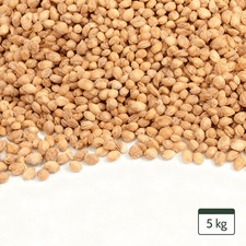 Noyaux de cerise en vrac Coussin chauffant noyaux de cerise séchés 5kg