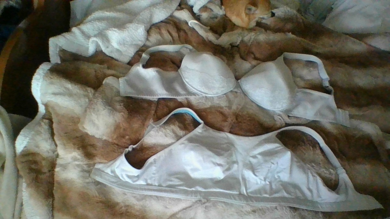 Two White 42DD Bras: Champion High Support & Vanity Fair Used Back Close Adj Stp