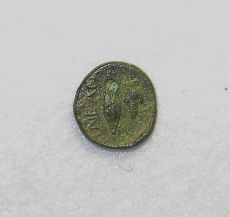 Troas, Neandria  AE 11, circa 300 BC, Apollo / Barley Grain, VF
