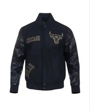 CHICAGO BULLS PRO STANDARD JACKET
