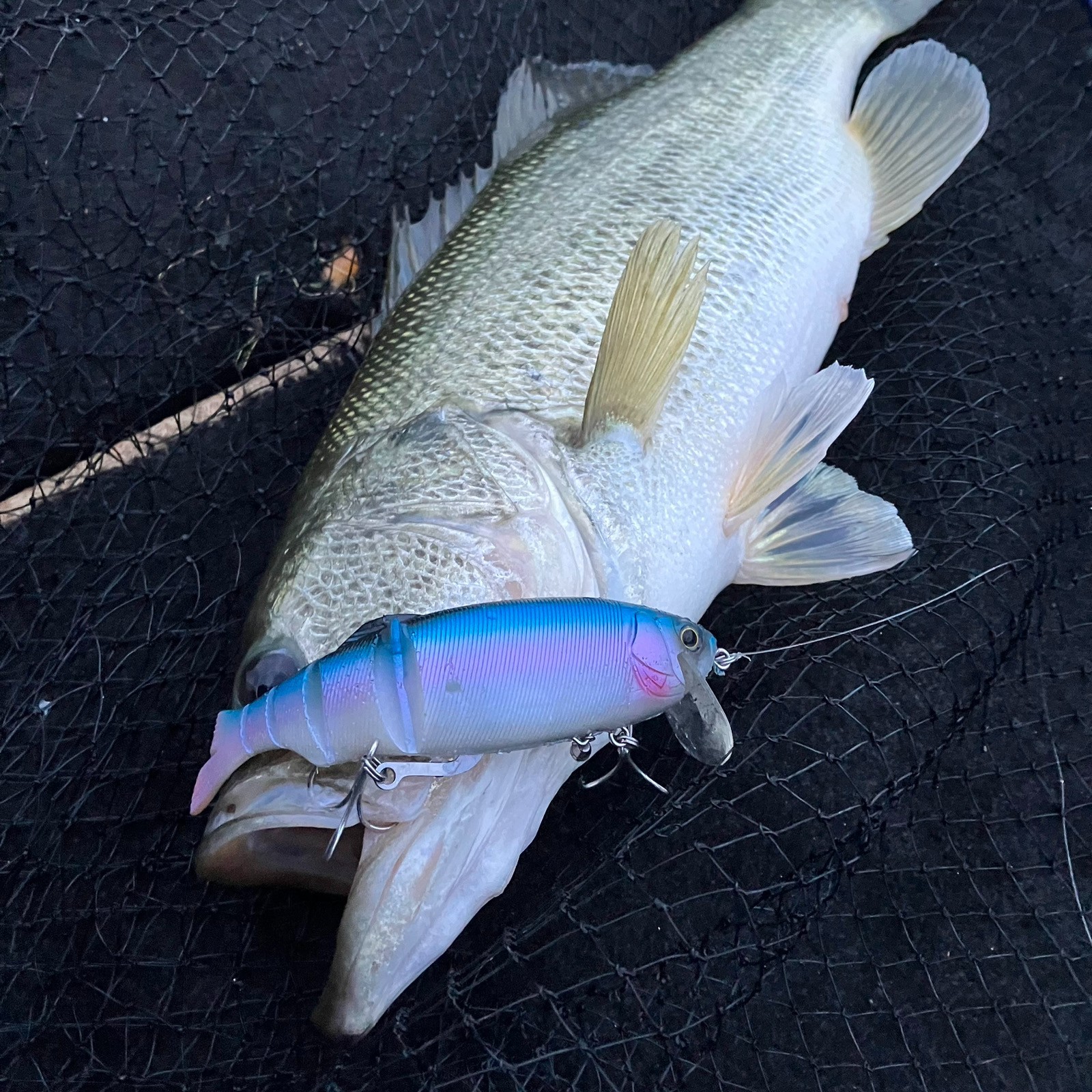 KAESU KUMOKIRI D/S #09 HISUI JADE 1.65oz 6.5inch Big Swimbait Glide NEW Japan - Image 10