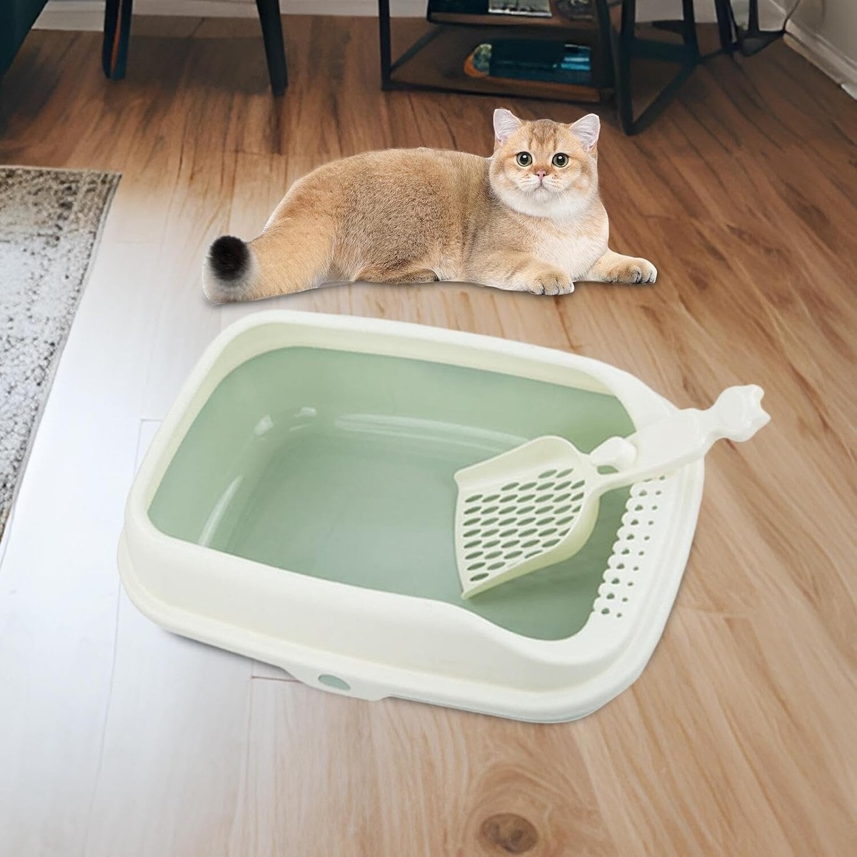 Litter Box Kitty Toilet Litter Scooper High Back Extra Large Open Top  Litter Box