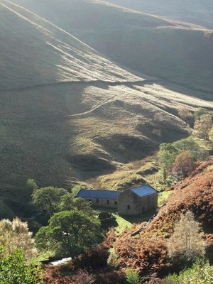Foto A2 Blackden Barn Grindsbrook Stand c2013