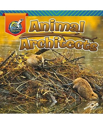 Animal Architects, Lisa J. Amstutz