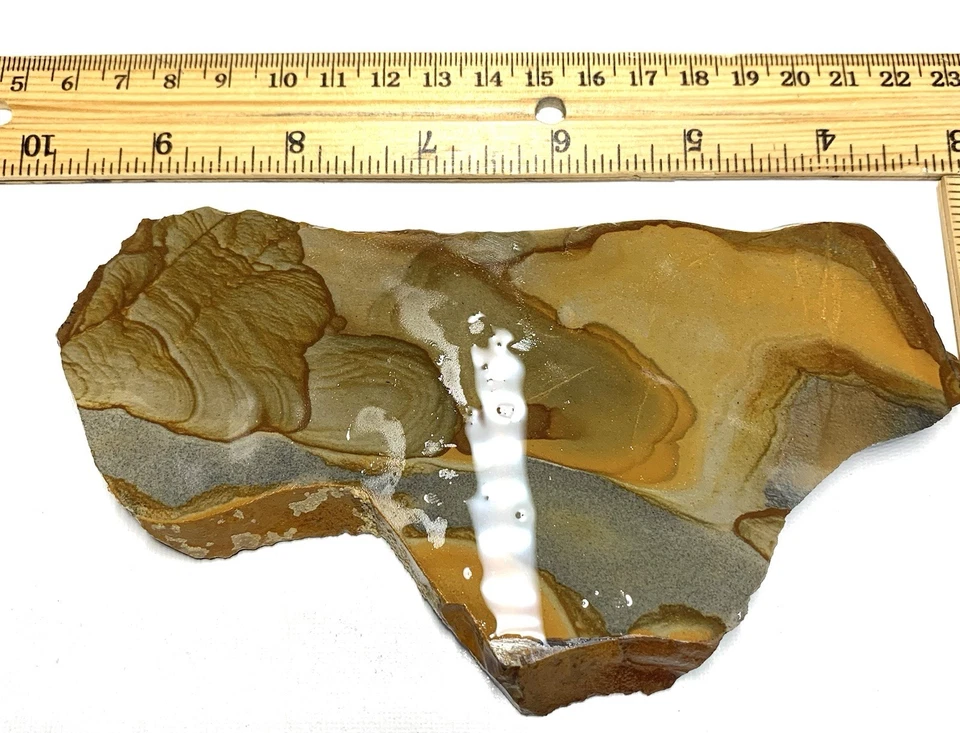 Disaster Peak Picture Jasper Slab - Image 3 of 4