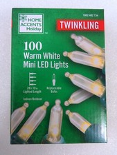 Home Accent Holiday 100ct Twinkling Warm White Mini LED String Lights 1002482734