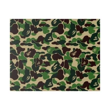 20x16" Gallery Art Canvas: A Bathing Ape Bape Camo Streetwear Beast Art Green