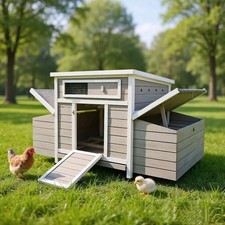 Large Wooden Chicken Coop Outdoor Hen House with 2 Nesting Boxes Poultry Cage