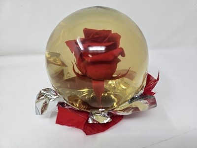 Forever Rose Glass Dome Beauty and the Beast Style Romantic Home Decor