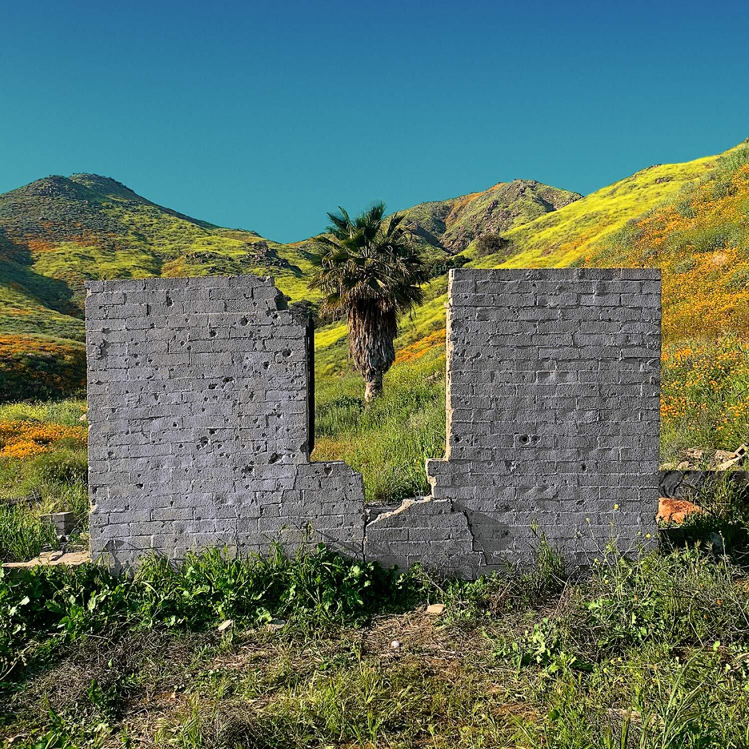 Shopping All Or Nothing (Vinyl LP)