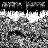 Undergang / Anatomia - Split Lp - Vinyl Record Vl - E3447Z