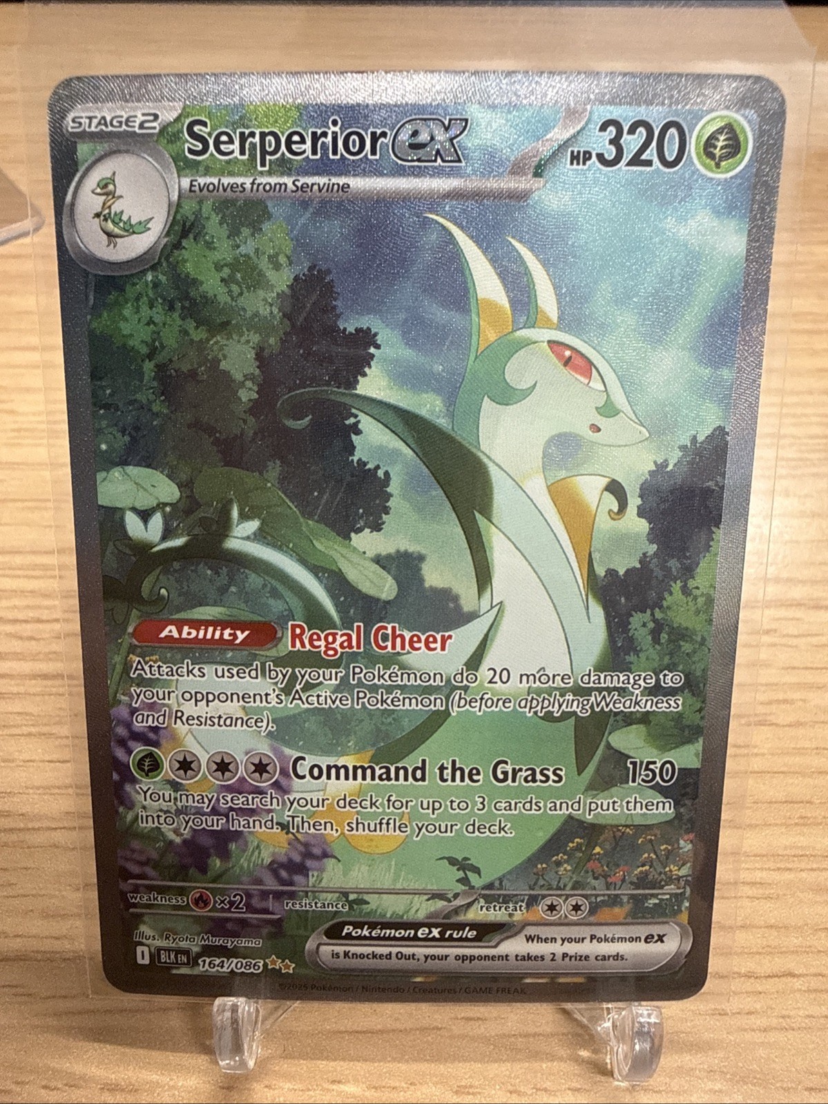 🚀 Pokemon TCG | Serperior EX # 164/86 Black Bolt Holo NM