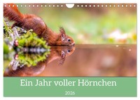 Ein Jahr Voller HöRnchen (Wandkalender 2026 Din A4 Quer), Calvendo...