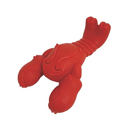 For Aggressive Chewers,