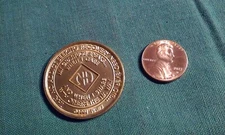 17 Year Narcotics Anonymous NA Medallion Chip Clean Coin WSO 1991 NAWS Token