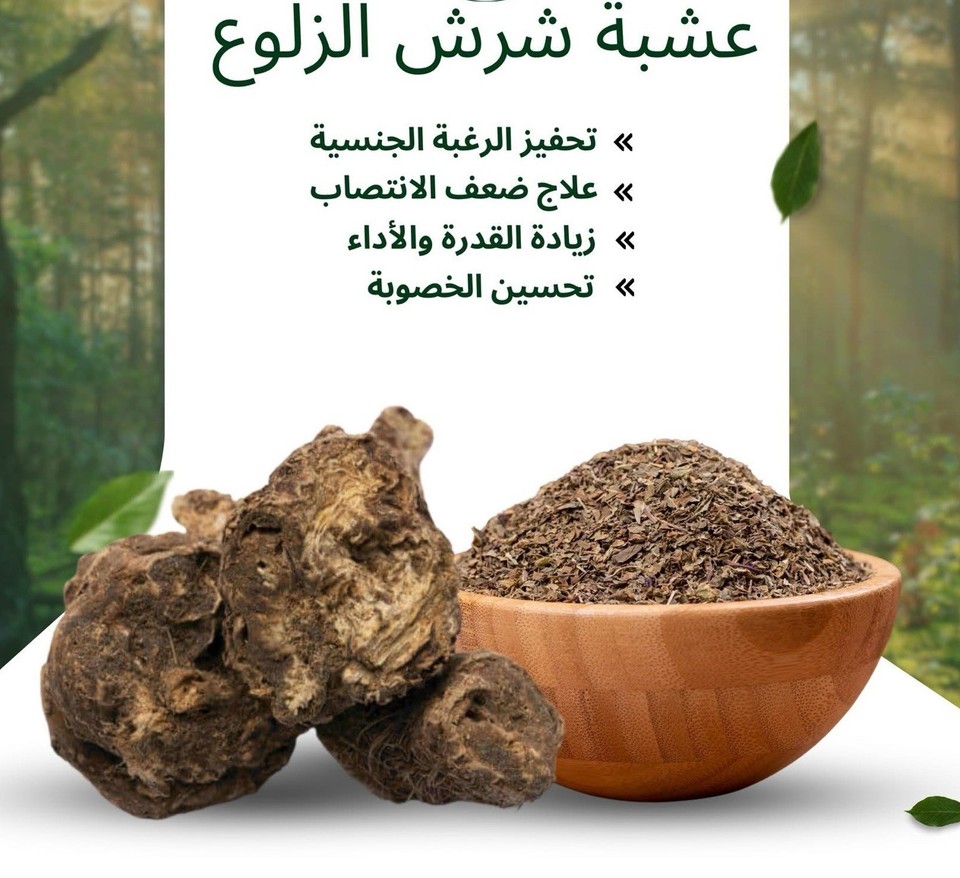 35 G X Ferula Hermonis Livraison Gratuite Et Rapide 35-g-x-ferula-hermonis-livraison-gratuite-et-rapide