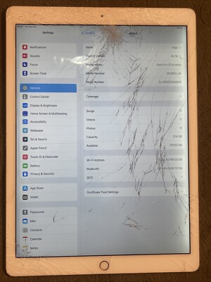 Apple iPad 本体 A1584 ホワイト 第一世代 箱付き Apple iPad Pro 1st Gen 128GB A1584 12.9