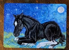 🐎 Colt Foal Horse Single Trade Swap Playing Card