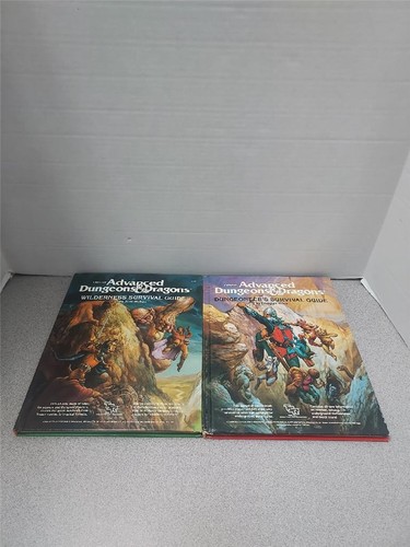 Dungeons And Dragons Assorted Lot of 2 Books