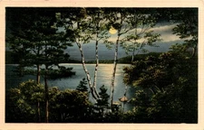 TICHNOR BROS., INC., BOSTON, MASS. Postcard