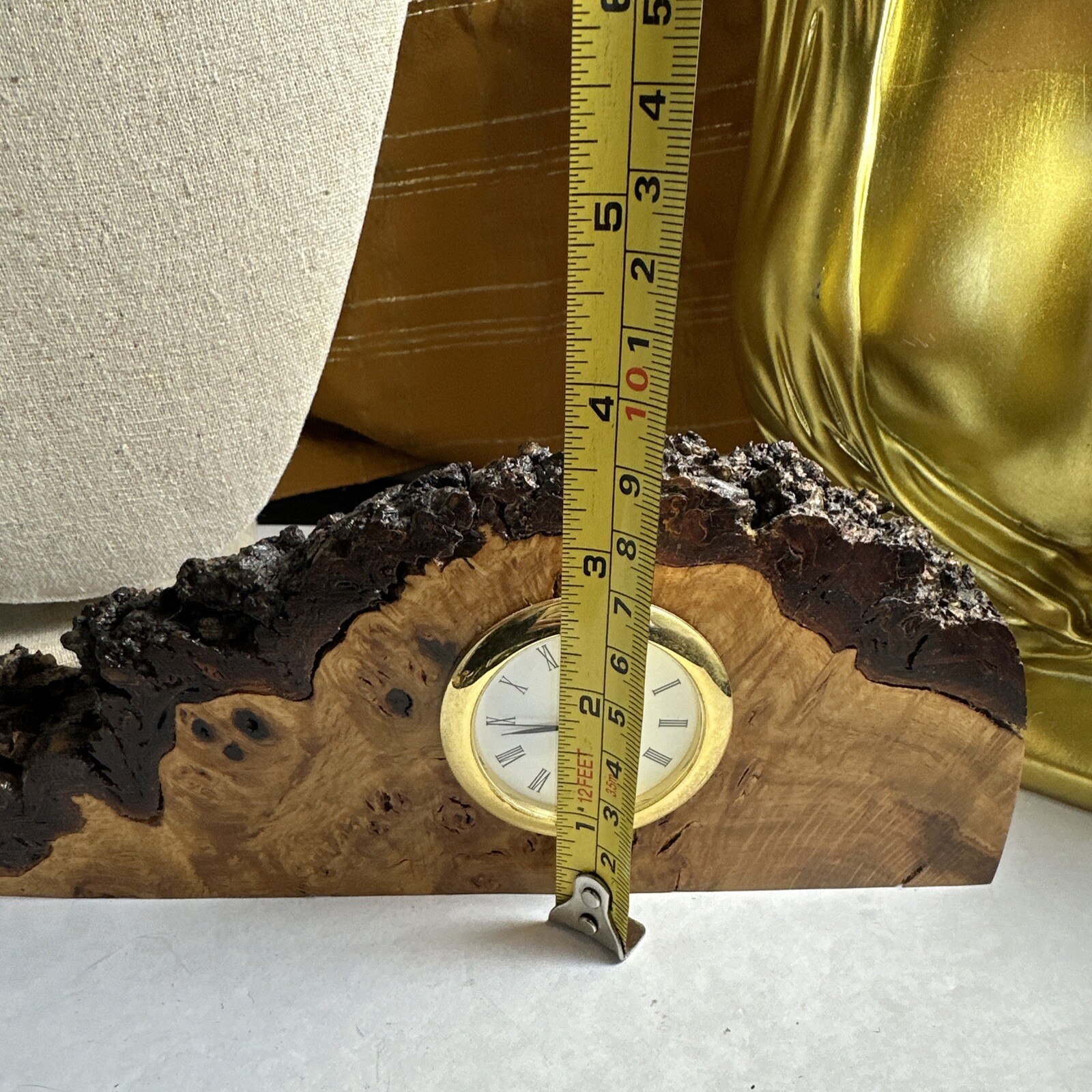 Bild 12 von 12