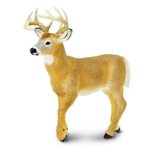 WHITETAIL DEER BUCK Animal Figurine Safari Ltd toy Wonderful Wildlife Collection - 第 1/6 張圖片