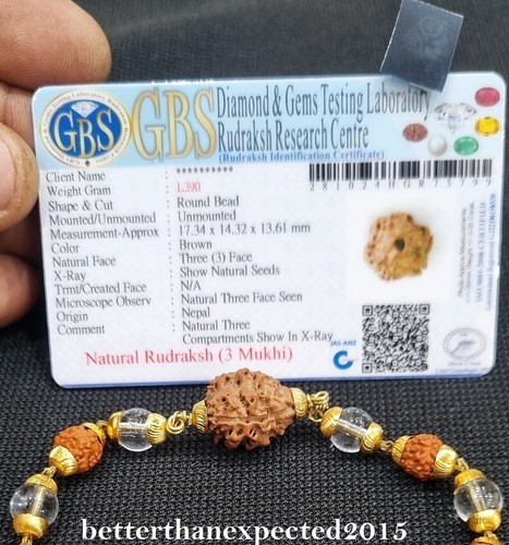 3 MUKHI (GESICHT) RUDRAKSHA RUDRAKSH ARMBAND MIT 5 MUKHI RUDRAKSH -LABOR ZERTIFIZIERT - Bild 4 von 5